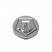 TISGS6-CAP / TIS Gloss Silver Snap In Center Cap