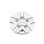 CAP-774S / Pacer 774MS Reliant Silver Bolt On Center Cap